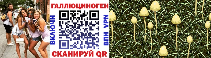 Псилоцибиновые грибы мицелий  купить   Похвистнево 
